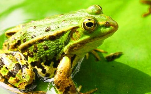 ������������ѧ��˼_��ѧ��˼