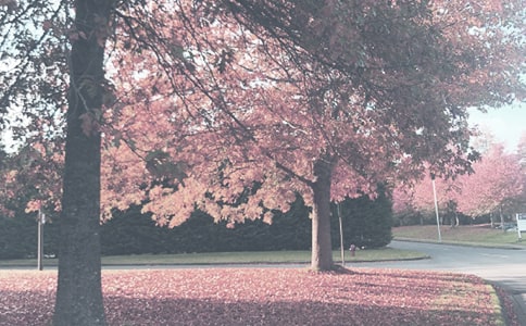 2021���＾԰��԰�����ƻ�