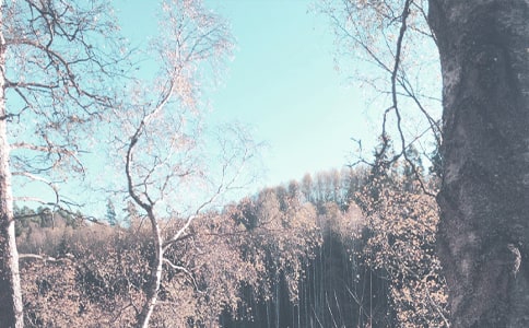 ѧǰ���＾ѧ�ڰ������ܽ�