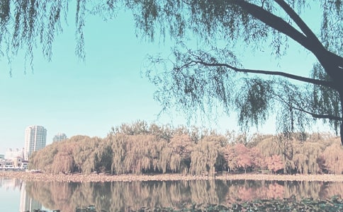 �＾����ת����΢���ʺ���