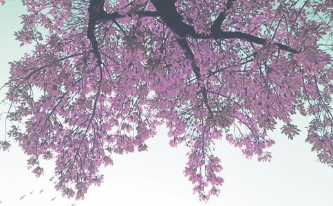 �＾������̰�8ƪ