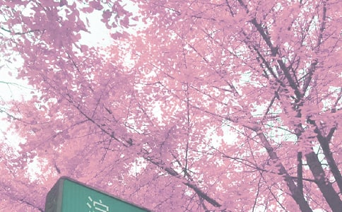 ���꼶�＾ѧ�ڰ�ȫ�̰�����ѡ5ƪ��