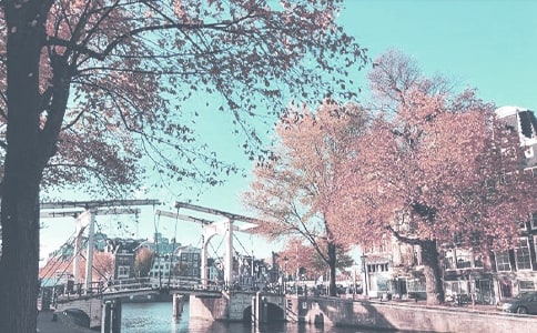 �＾Сѧ�����ƻ�