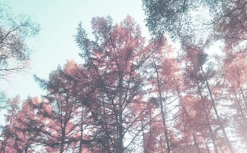 ���꼶���＾ѧ�ڹ����ܽ᣺�羰��߶���