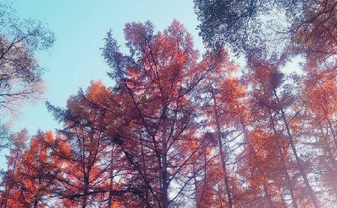 ��������̰���������װ_��������̰�