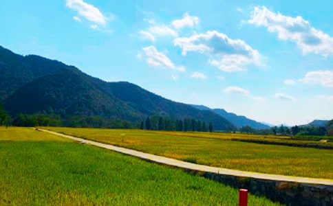 ���չ����ܽ�