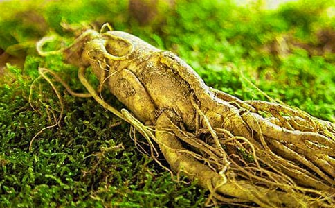 人人参与环境保护班会教案范文