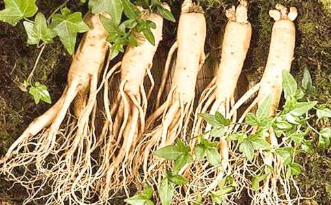 ͵���˲ι�����л��12ƪ