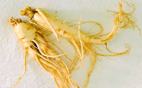 ���˲ι�Уʷ���ĵ����