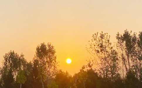 �ճ�����������