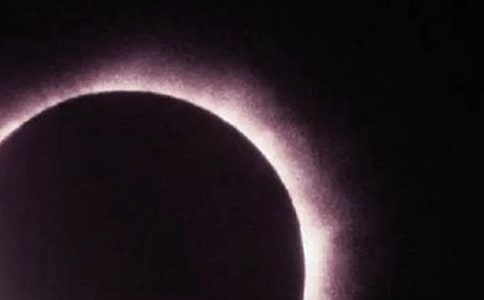 ����ʳ����ʳ����ѧ��˼