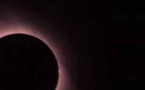 ����ʳ����ʳ���̰�