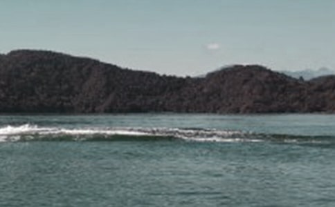 �����š�����̶�Ĵ�˵�̰�15ƪ