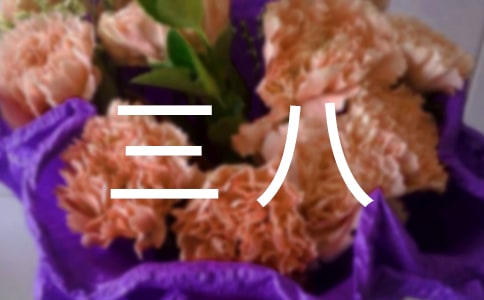 ��ѡ���˺������ݽ�����ƪ