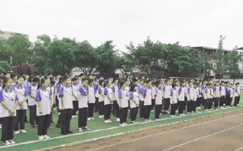 [����]ɢѧ���񽲻�����3ƪ