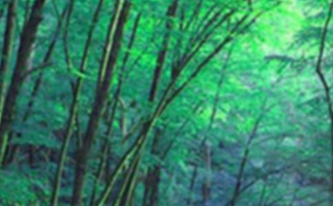 ����ɭ�ַ��������ȫ