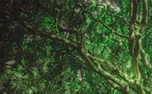 ɭ�ַ���ȫ��һ�ν̰����ģ���ѡ7ƪ��