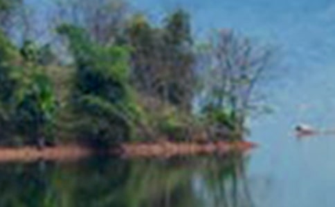 �й�ɽˮ���̰�