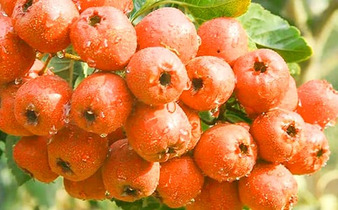 (ͨ��)��ɽ���֮���������