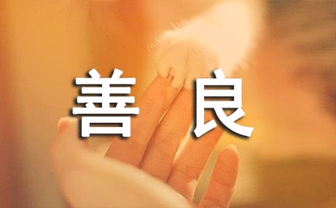 �������Ը���40�侫ѡ