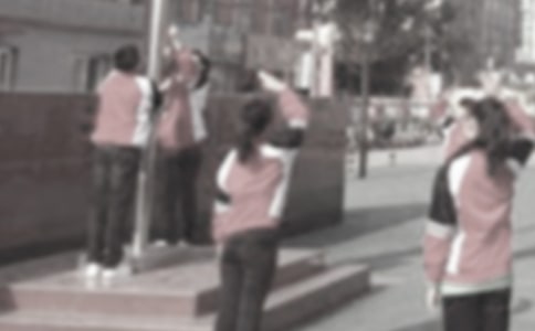 �����������ݽ���