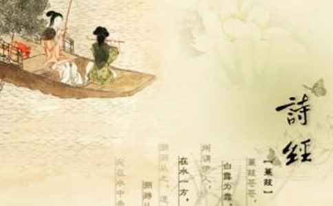 《诗经》读后感范文