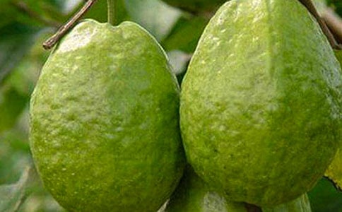 ʯ���ѧ��˼