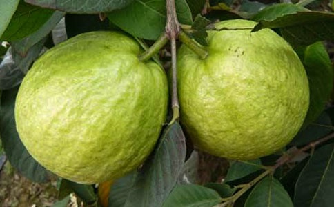 ��ʯ�񡷽̰�