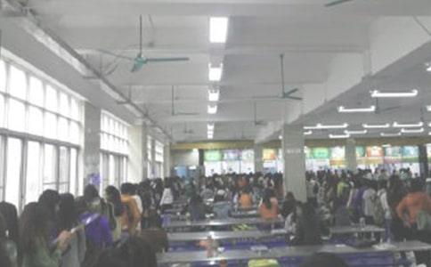 食堂工作年度个人总结