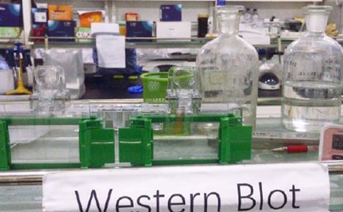 ����ѡ��ʵ���ҹ����ƶ�