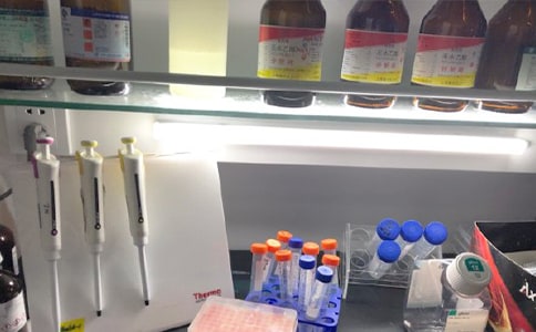 ʵ�������������ƶ�