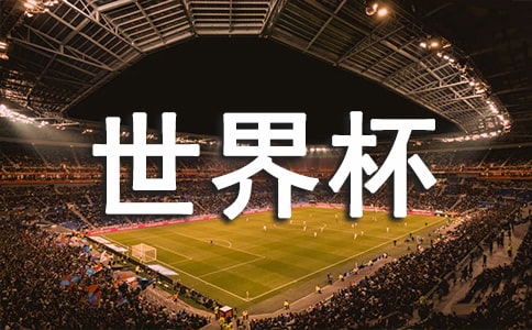 ���������籭��������������