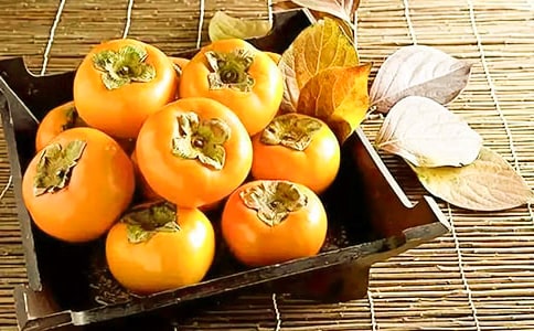 ��ѩ���ӡ������(8ƪ)