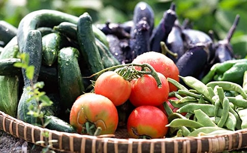 �߲˱����̰�15ƪ