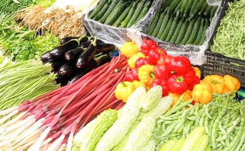 �аཡ����֪�����߲˽̰�