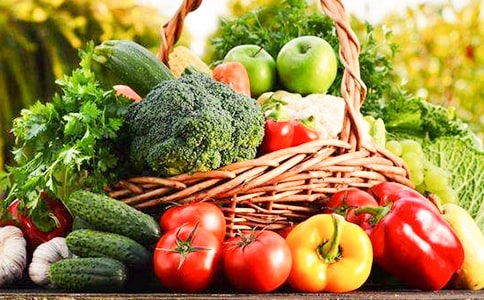 �߲˹�����ͬ12ƪ