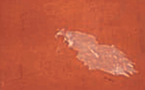 ����ˢǽ�ĵ����