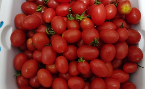 Сѧˮ���̰�