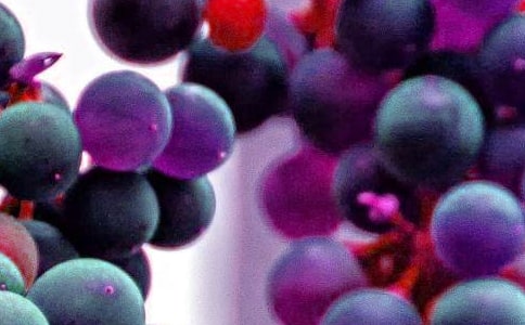 С�����ԡ�ˮ������ȥ���С��̰�����˼