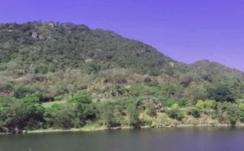 ˮ��Ѵ��ֵ���ƶȣ���ѡ10ƪ��