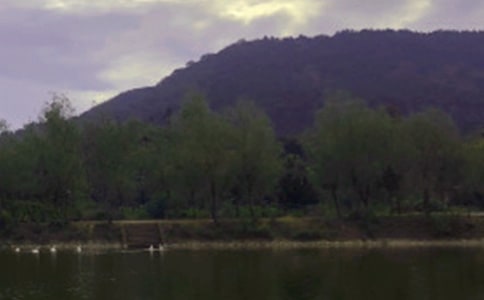 ˮ���Ѵ�����ܽ�