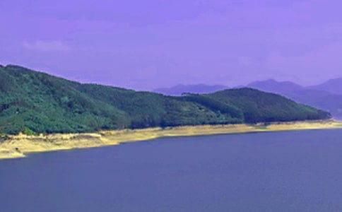 水库管理个人工作总结