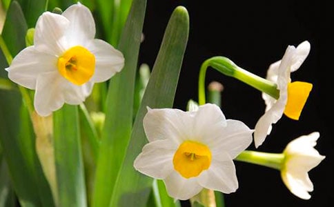 ��������ˮ���򡷶����