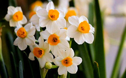 ��ˮ�ɻ����̰�