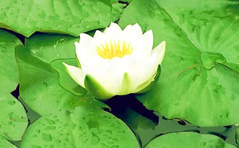 �а����ʿ�ѧ�̰���̽��������˯����