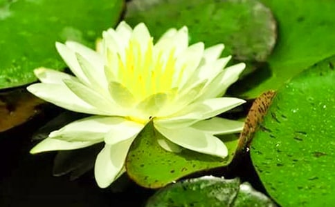 �а��ѧ�̰���˯�������̰�����ѧ��˼