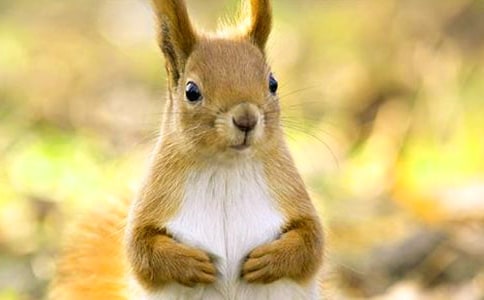 �����󡷽̰�(ͨ��15ƪ)