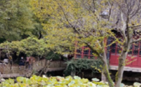 ������԰�֡�������̰����8ƪ