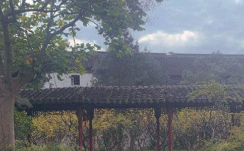 ����԰�ֵ��δ�