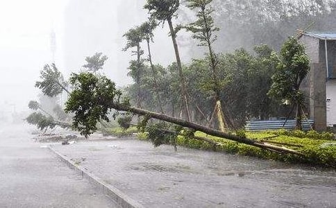 跟踪台风的卫星教案范文合集9篇